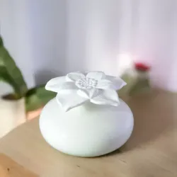 Diffuseur par capillarité blanc pour parfum d'ambiance