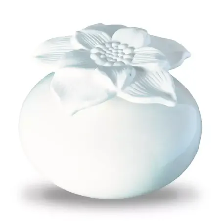 Diffuseur par capillarité blanc pour parfum d'ambiance