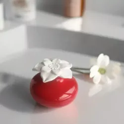 Diffuseur par capillarité rouge pour parfum d'ambiance