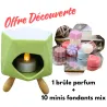 Offre Découverte brûle parfum vert design + 10 minis fondants parfums mix