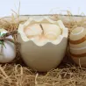 Bougie parfum Vanille gourmande dans coquille d'oeuf en jesmonite
