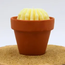 Mini bougie parfum Monoï avec cactus, coulée dans un pot en terre cuite