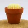 Mini bougie parfum Monoï avec cactus, coulée dans un pot en terre cuite