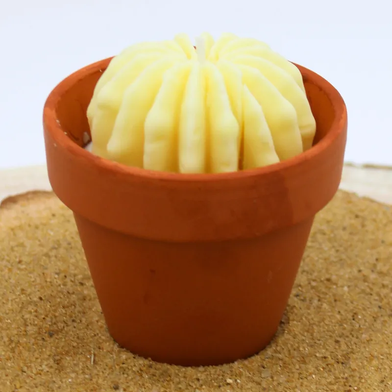 Mini bougie parfum Monoï avec cactus, coulée dans un pot en terre cuite