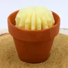 Mini bougie parfum Monoï avec cactus, coulée dans un pot en terre cuite