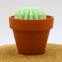 Mini bougie parfum mojito avec cactus, coulée dans un pot en terre cuite