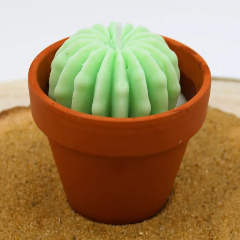 Mini bougie parfum mojito avec cactus, coulée dans un pot en terre cuite