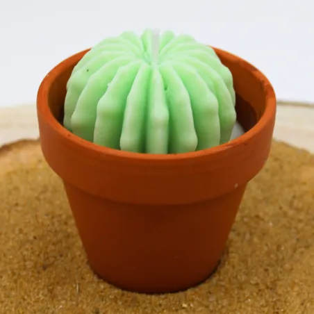 Mini bougie parfum mojito avec cactus, coulée dans un pot en terre cuite