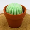 Mini bougie parfum mojito avec cactus, coulée dans un pot en terre cuite