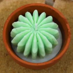 Mini bougie parfum mojito avec cactus, coulée dans un pot en terre cuite