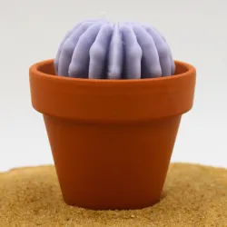 Mini bougie parfum Lavande avec cactus, coulée dans un pot en terre cuite