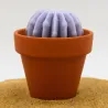 Mini bougie parfum Lavande avec cactus, coulée dans un pot en terre cuite