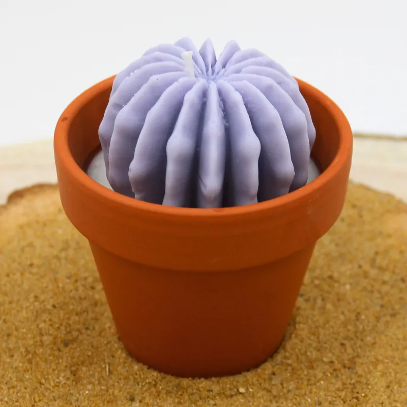 Mini bougie parfum Lavande avec cactus, coulée dans un pot en terre cuite