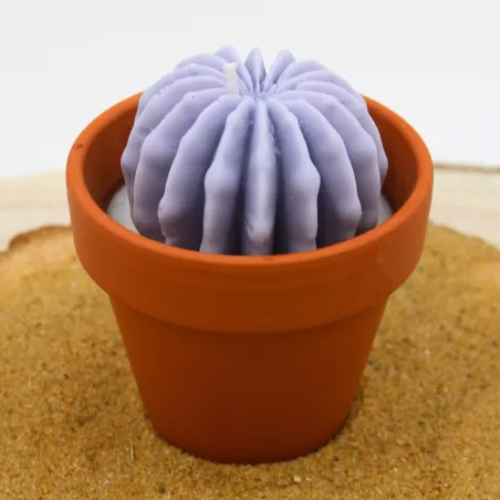 Mini bougie parfum Lavande avec cactus, coulée dans un pot en terre cuite