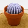 Mini bougie parfum Lavande avec cactus, coulée dans un pot en terre cuite