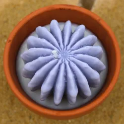 Mini bougie parfum Lavande avec cactus, coulée dans un pot en terre cuite
