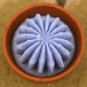 Mini bougie parfum Lavande avec cactus, coulée dans un pot en terre cuite