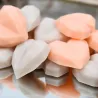 Pot de 15 minis fondants coeurs pomme d’amour et madeleine