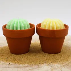 Lot de 2 mini bougie parfum monoÏ et mojito avec cactus, coulée dans un pot en terre cuite