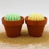 Lot de 2 mini bougie parfum monoÏ et mojito avec cactus, coulée dans un pot en terre cuite