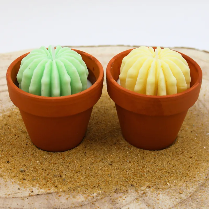 Lot de 2 mini bougie parfum monoÏ et mojito avec cactus, coulée dans un pot en terre cuite