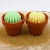 Lot de 2 mini bougie parfum monoÏ et mojito avec cactus, coulée dans un pot en terre cuite