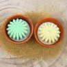 Lot de 2 mini bougie parfum monoÏ et mojito avec cactus, coulée dans un pot en terre cuite