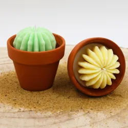 Lot de 2 mini bougie parfum monoÏ et mojito avec cactus, coulée dans un pot en terre cuite