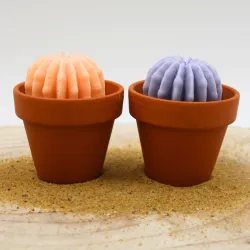 Lot de 2 mini bougie parfum fleur d'oranger et parfum lavande avec cactus, coulée dans un pot en terre cuite