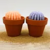 Lot de 2 mini bougie parfum fleur d'oranger et parfum lavande avec cactus, coulée dans un pot en terre cuite