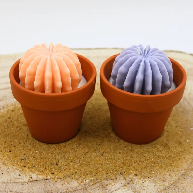 Lot de 2 mini bougie parfum fleur d'oranger et parfum lavande avec cactus, coulée dans un pot en terre cuite