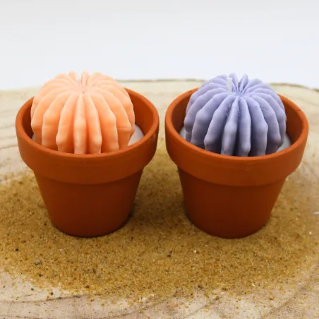 Lot de 2 mini bougie parfum fleur d'oranger et parfum lavande avec cactus, coulée dans un pot en terre cuite