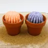 Lot de 2 mini bougie parfum fleur d'oranger et parfum lavande avec cactus, coulée dans un pot en terre cuite