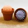 Lot de 2 mini bougie parfum fleur d'oranger et parfum lavande avec cactus, coulée dans un pot en terre cuite