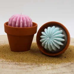 Lot de 2 mini bougie parfum muguet et parfum citronnelle avec cactus, coulée dans un pot en terre cuite