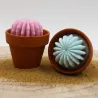 Lot de 2 mini bougie parfum muguet et parfum citronnelle avec cactus, coulée dans un pot en terre cuite