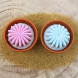 Lot de 2 mini bougie parfum muguet et parfum citronnelle avec cactus, coulée dans un pot en terre cuite