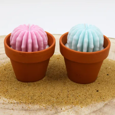 Lot de 2 mini bougie parfum muguet et parfum citronnelle avec cactus, coulée dans un pot en terre cuite