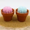 Lot de 2 mini bougie parfum muguet et parfum citronnelle avec cactus, coulée dans un pot en terre cuite