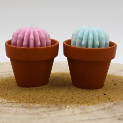 Lot de 2 mini bougie parfum muguet et parfum citronnelle avec cactus, coulée dans un pot en terre cuite