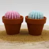 Lot de 2 mini bougie parfum muguet et parfum citronnelle avec cactus, coulée dans un pot en terre cuite