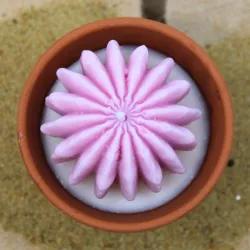 Mini bougie parfum anti moustique avec cactus, coulée dans un pot en terre cuite