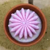 Mini bougie parfum anti moustique avec cactus, coulée dans un pot en terre cuite