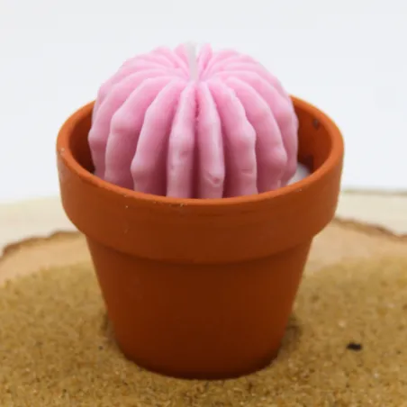 Mini bougie parfum anti moustique avec cactus, coulée dans un pot en terre cuite