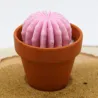 Mini bougie parfum anti moustique avec cactus, coulée dans un pot en terre cuite