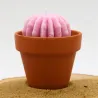 Mini bougie parfum anti moustique avec cactus, coulée dans un pot en terre cuite