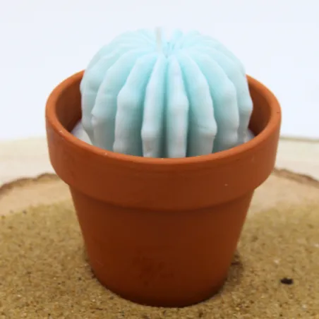 Mini bougie parfum muguet avec cactus, coulée dans un pot en terre cuite