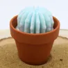 Mini bougie parfum muguet avec cactus, coulée dans un pot en terre cuite