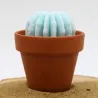 Mini bougie parfum muguet avec cactus, coulée dans un pot en terre cuite