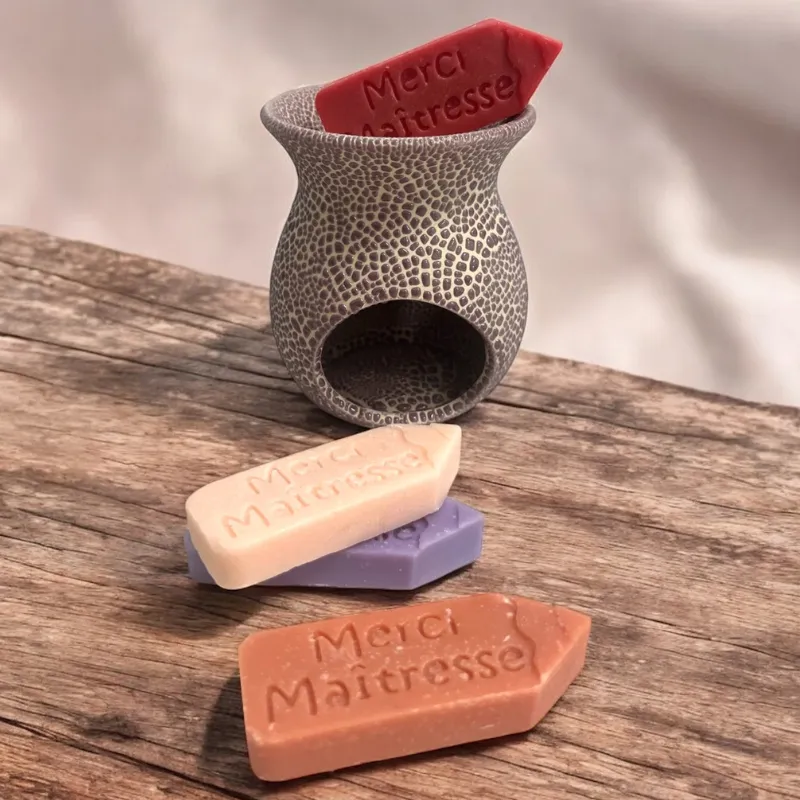 Un brûle parfum couleur aléatoire + 4 fondants crayons parfumés "Merci maitresse" Un brûle parfum couleur aléatoire + 4 fondants crayons parfumés "Merci maitresse"